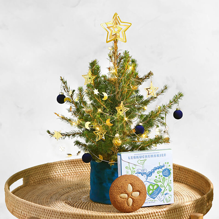 Ein festliches Weihnachtsbäumchen geschmückt mit goldenen Sternen steht auf dem Beistelltisch. Daneben ist ein runder Lebkuchen zu sehen.