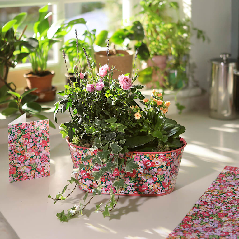 A floral-patterned container holds a lush arrangement of pink roses, orange blossoms, and cascading ivy, resting on a white surface with a matching floral card. Sunlight streams through a window in the background, illuminating various potted plants.