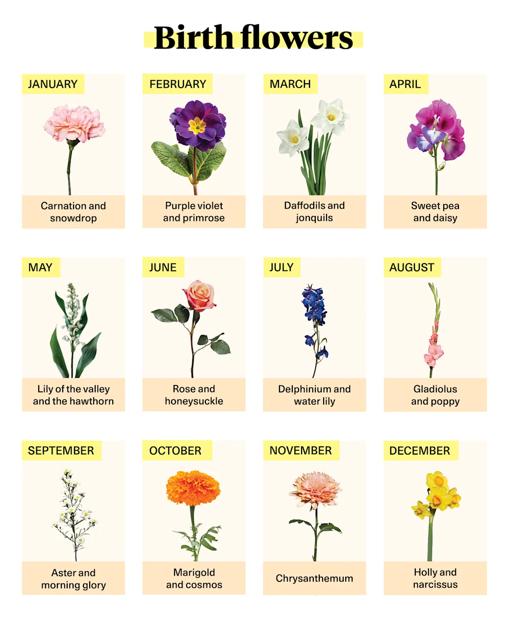 Floriography: Language and Meaning of Flowers | Bloom & Wild