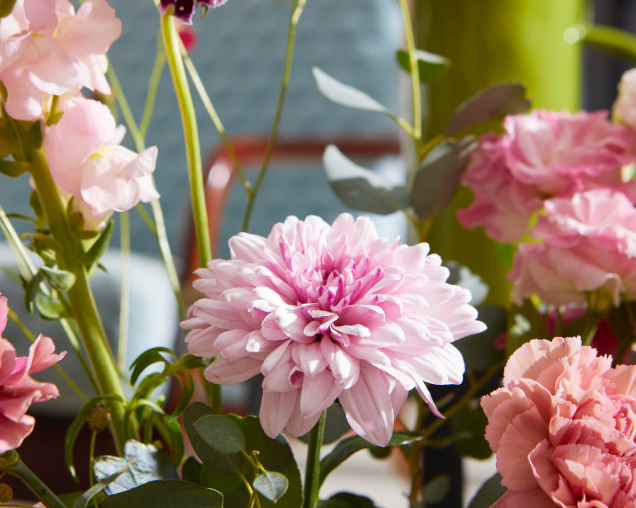 A close-up of pink flowers