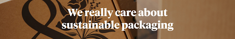 Several, cardboard Bloom & Wild delivery boxes are placed next to and atop each other. The text overlay reads: 'We really care about sustainable packaging'.