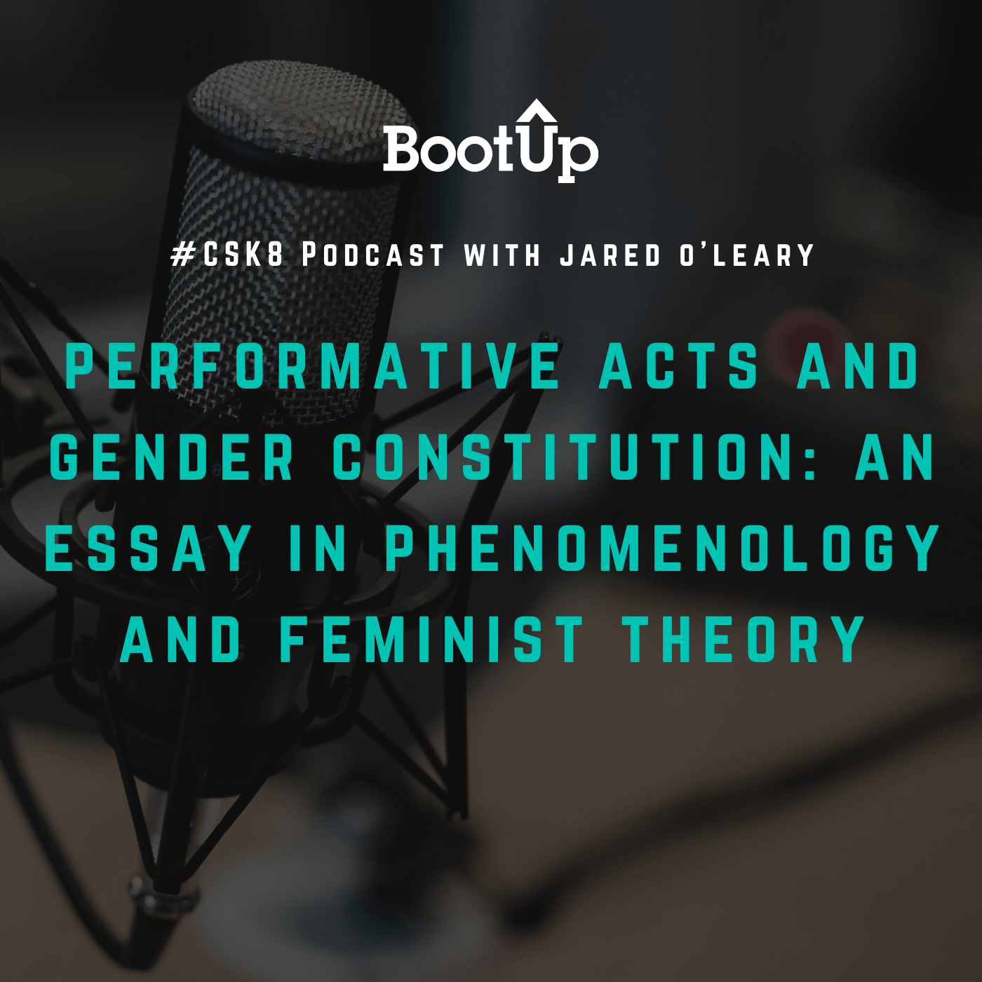 csk8 - performative acts on gender 