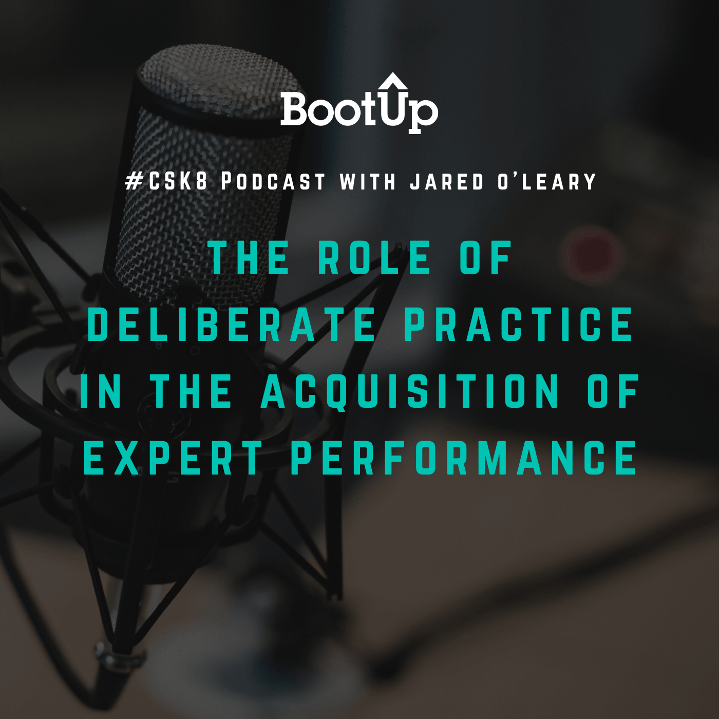 CSK8 - tole of deliberate practice