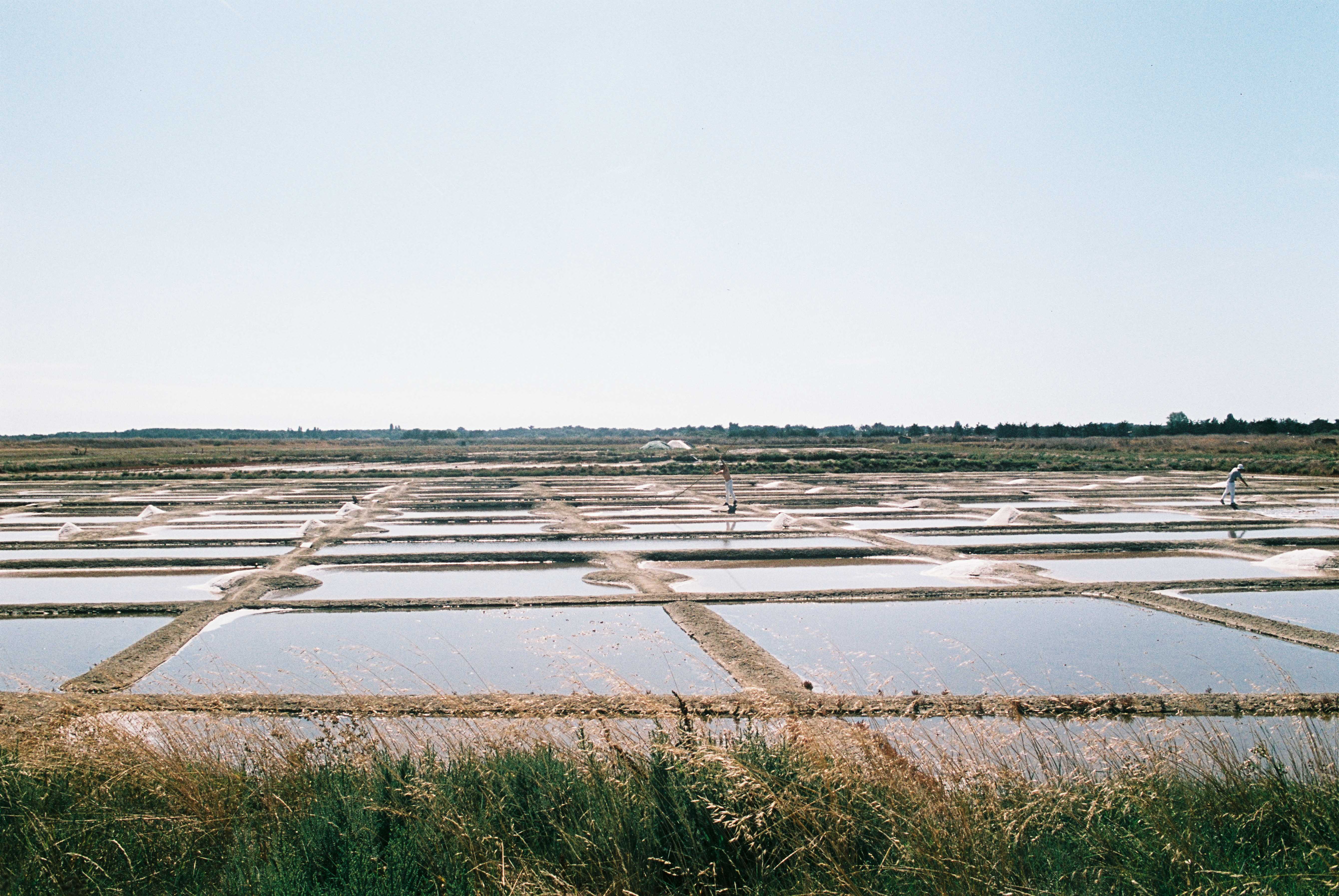 Les marais salants de Noirmoutier-en-île