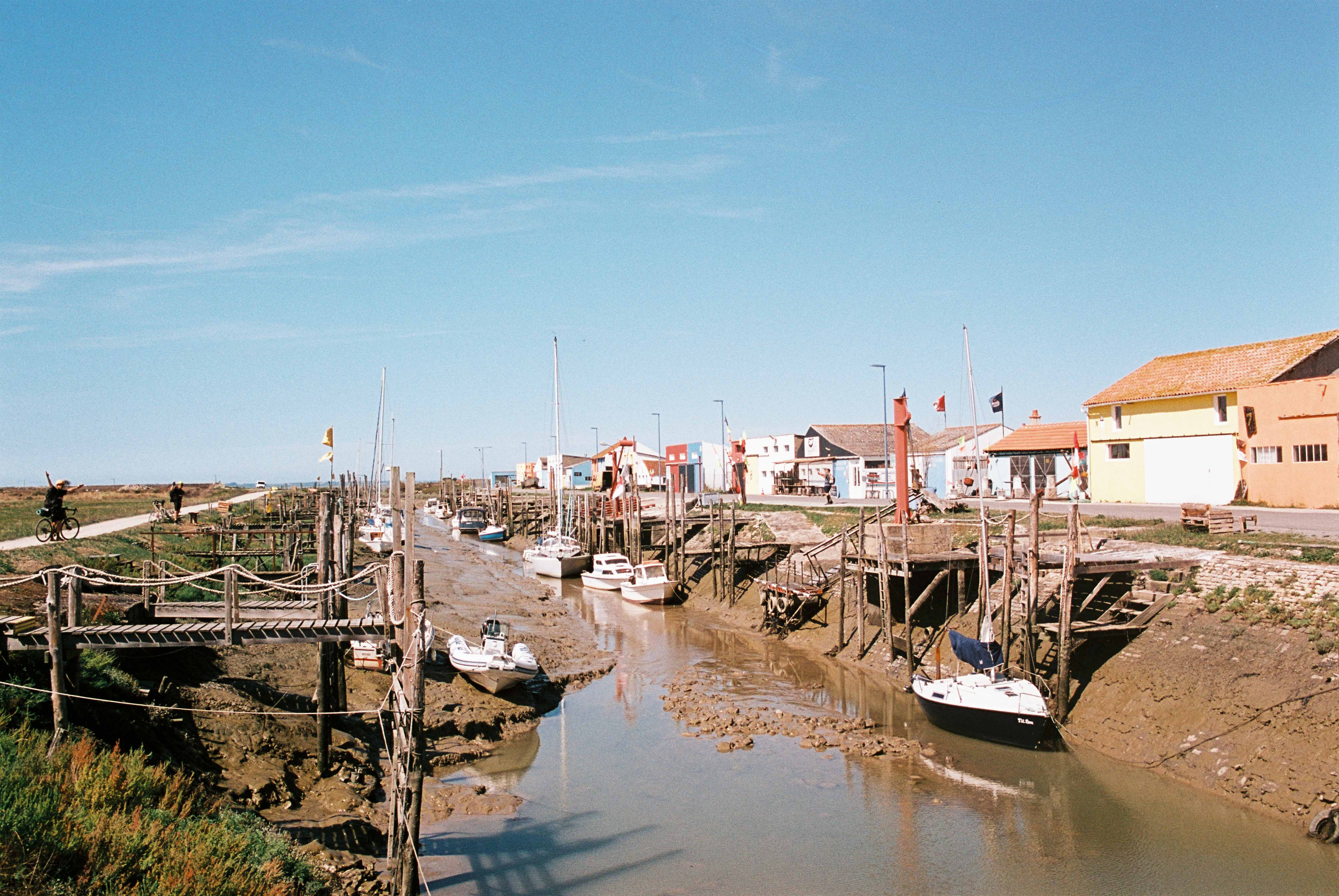 Les landes de la Vendée