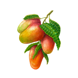 Myrcene