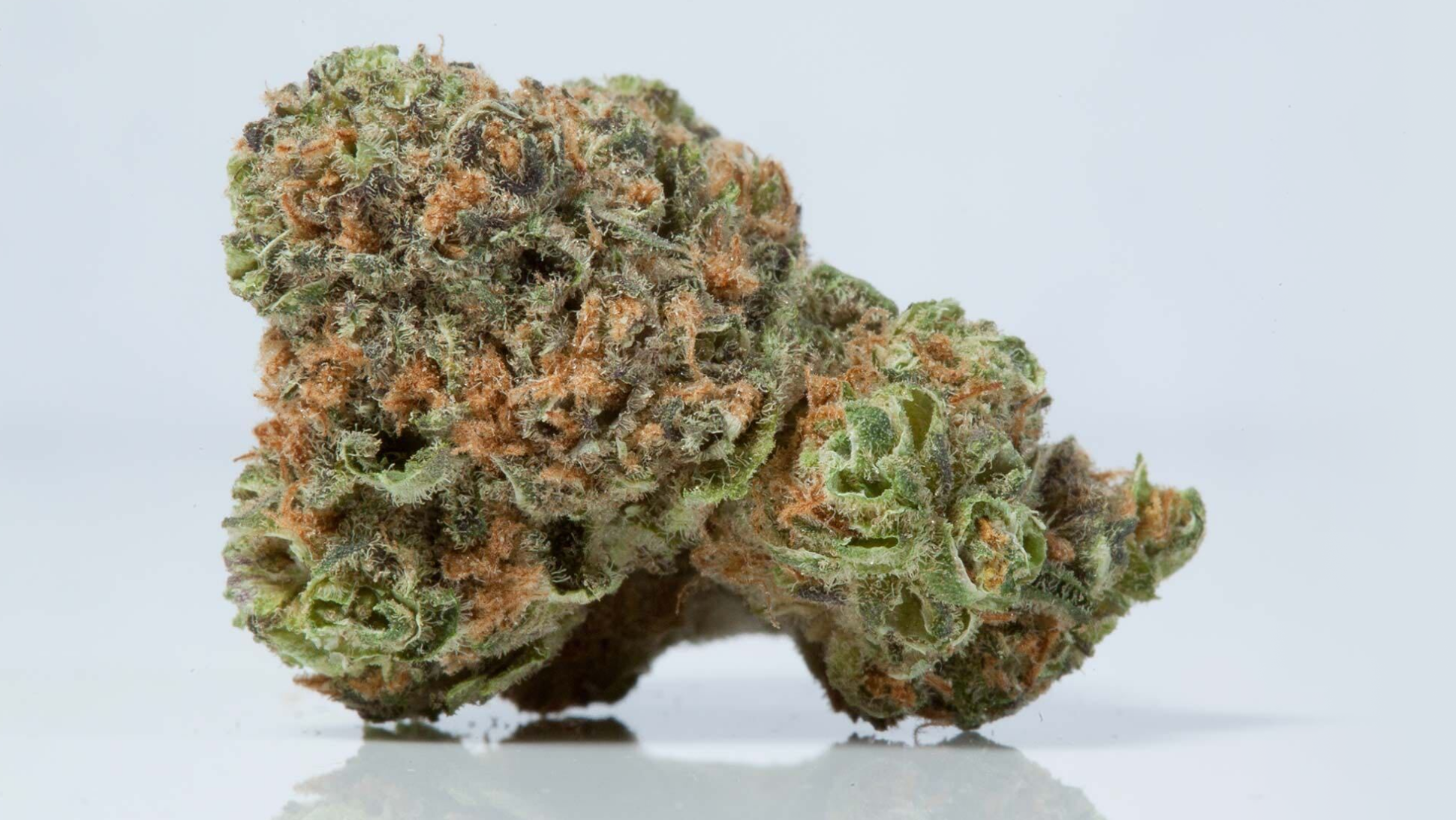 What&amp;#39;s the Pineapple Express Strain?