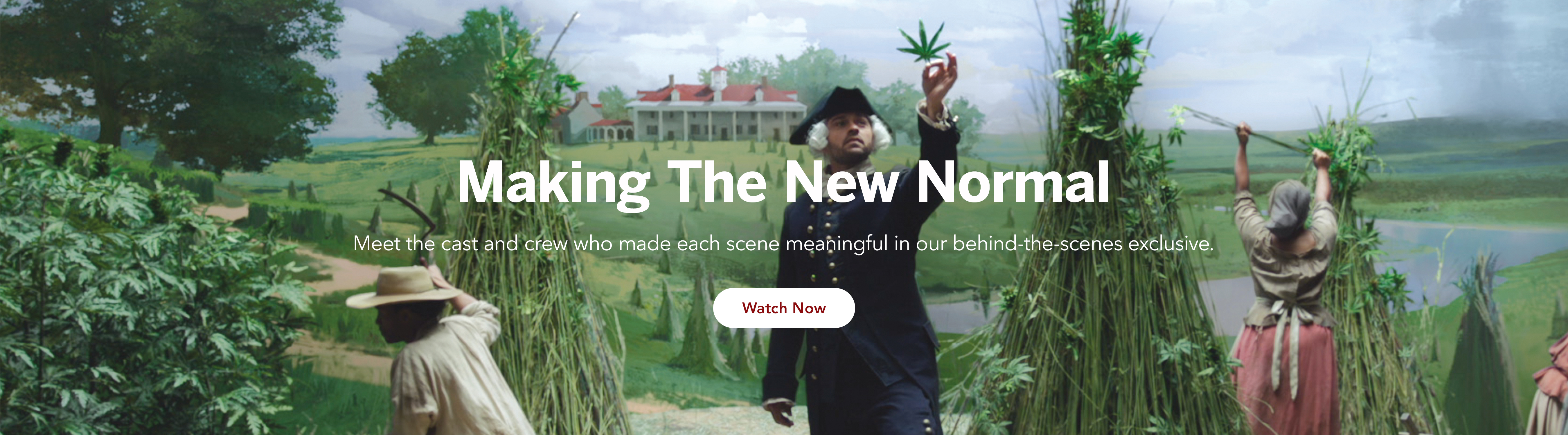 The Complete Guide To Medmen Stock: Your 2025 Forecast - 6uvzsba