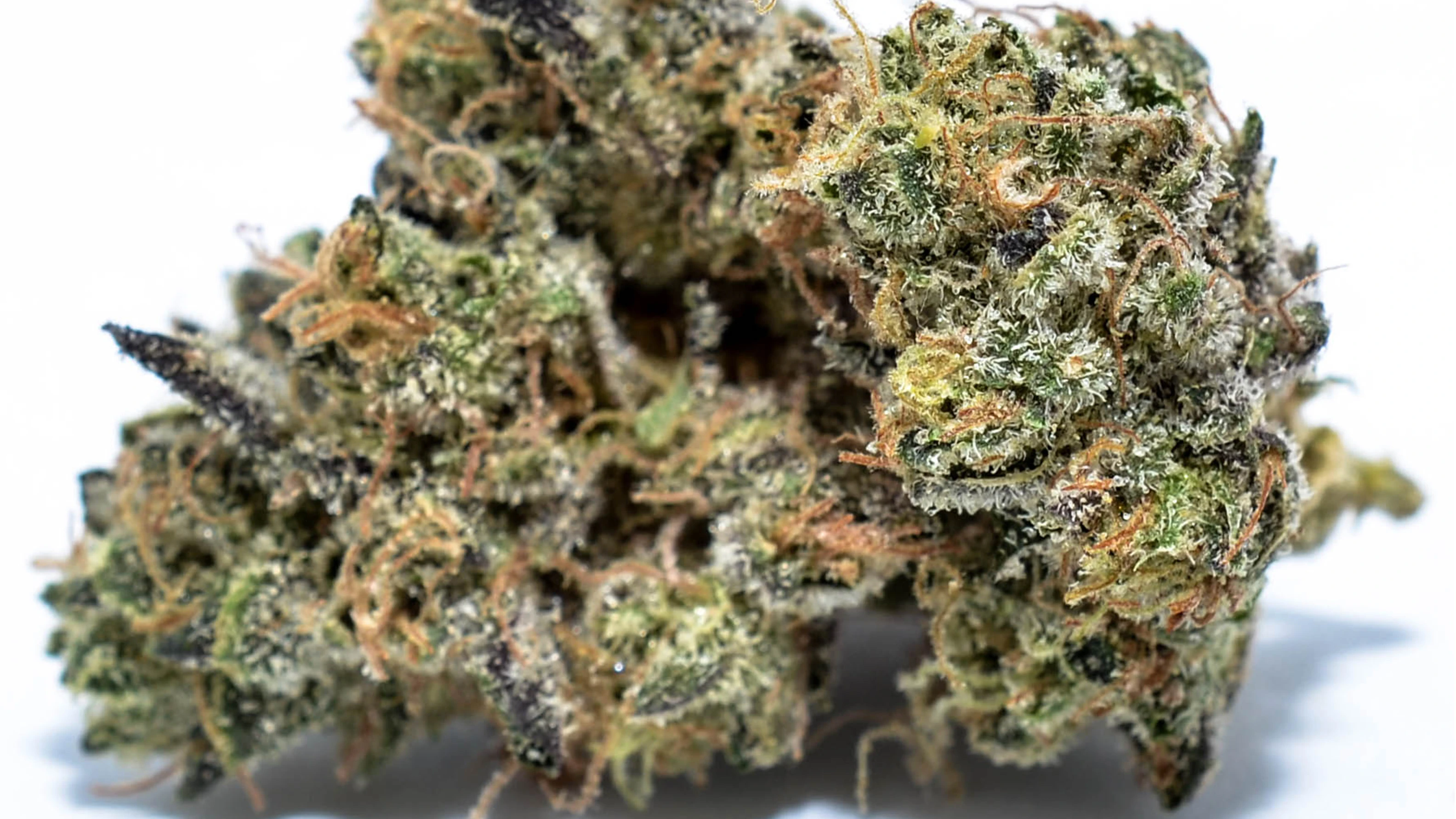 What Is The Strongest Cannabis Strain