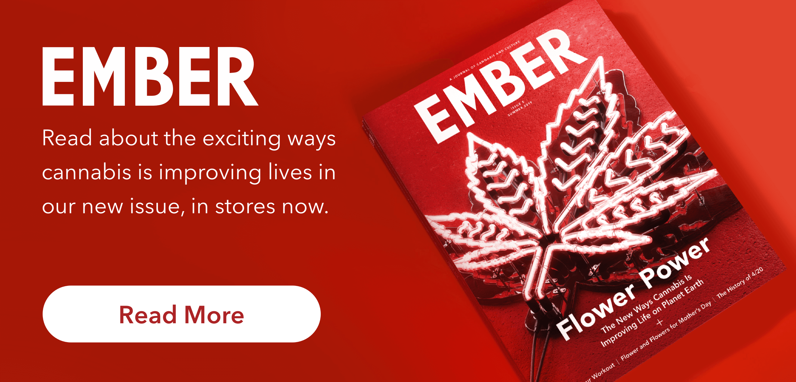 Announcing EMBER volume 5