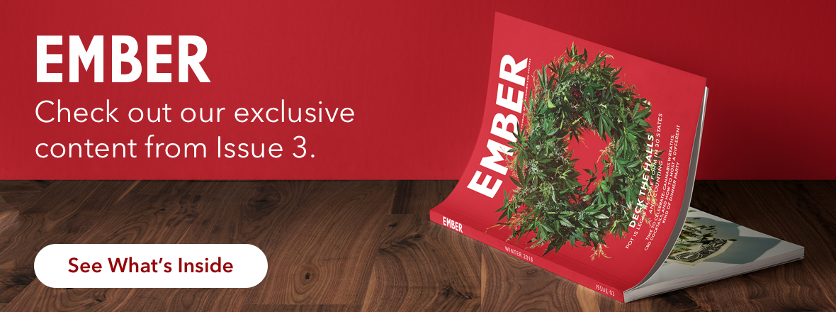 EMBER - Check out our exclusive content from Issue 3.