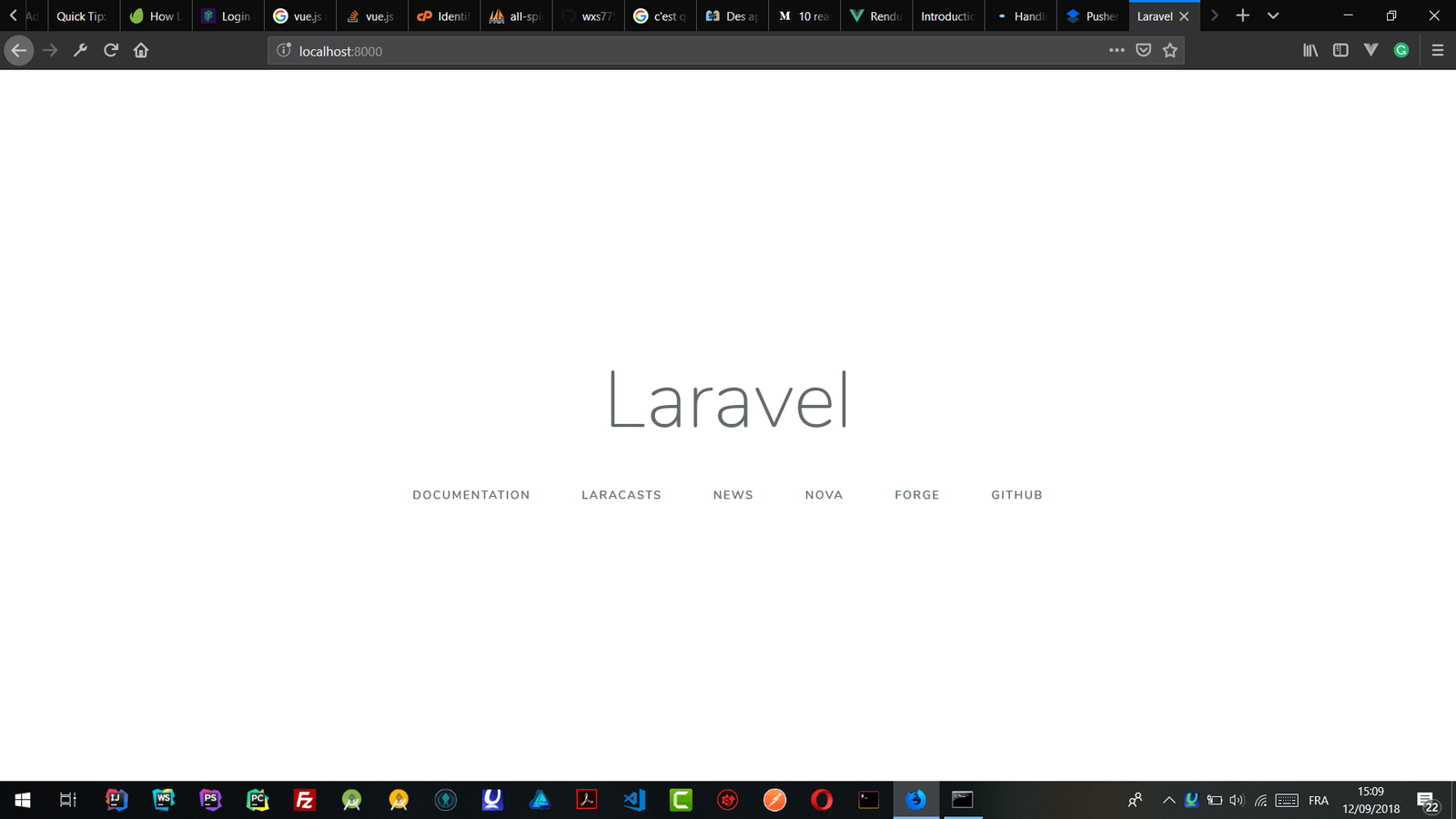 axios-laravel-homepage