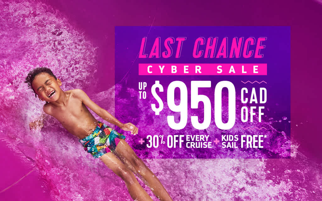 Last Chance Cyber Sale flash 5 offer hero