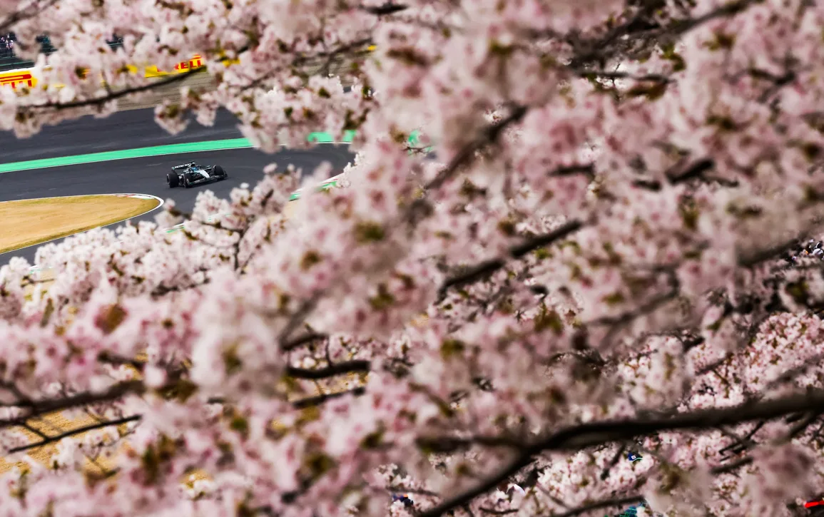 Katy-Suzuka-WEB-IMAGE-4