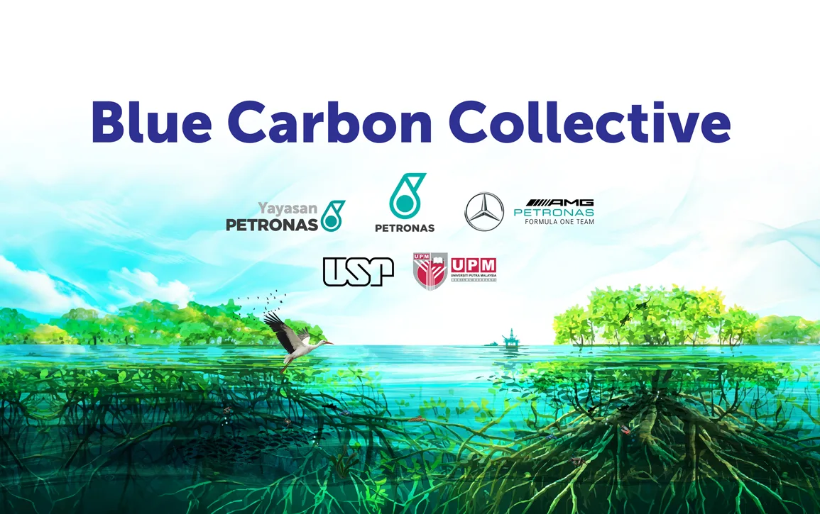 Blue-Carbon-Website-IMAGE-2