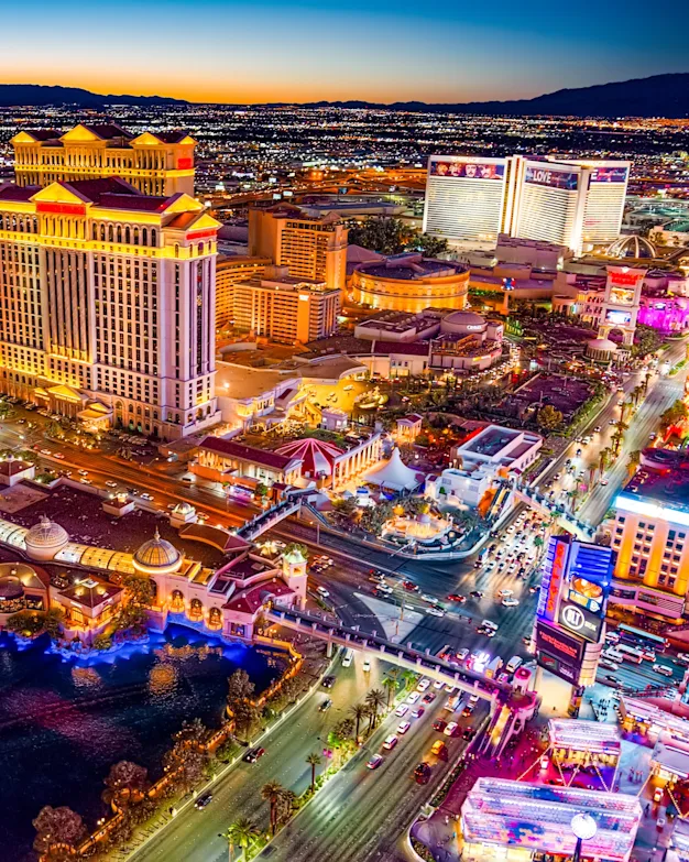 Las Vegas Stock Main Image (mobile)