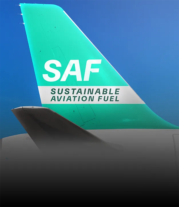 SAF Web Mobile