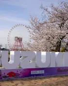 Katy-Suzuka-WEB-IMAGE-1