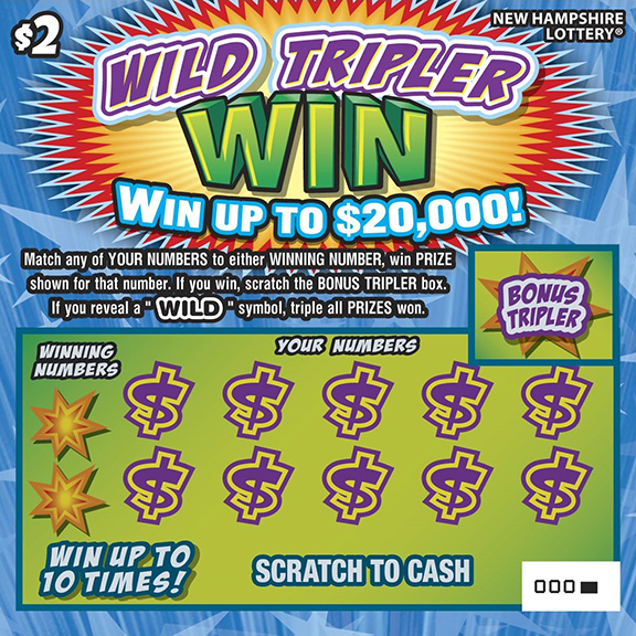 Wild Tripler Win image