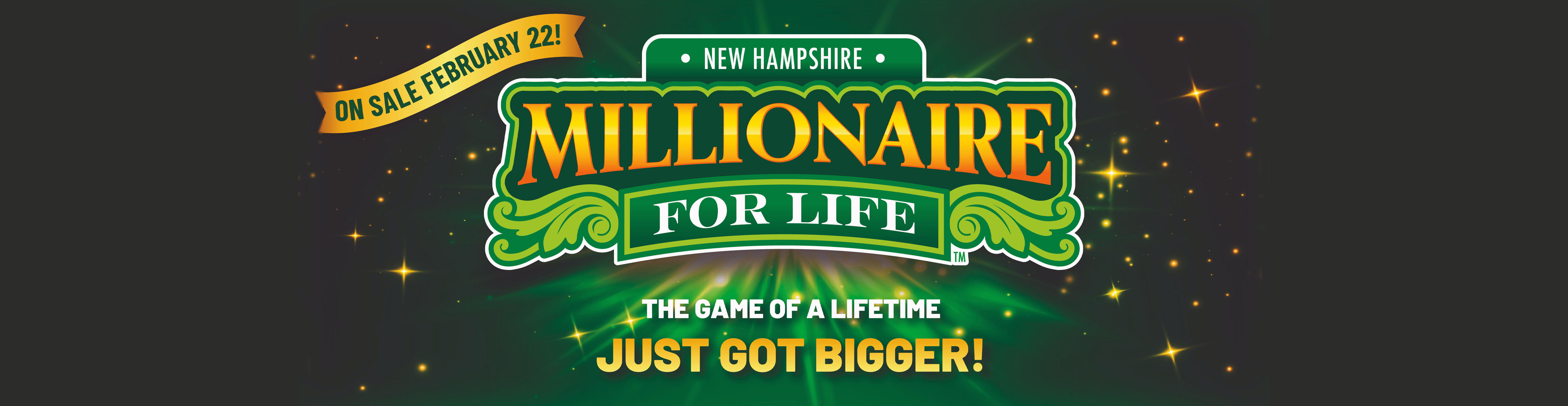 Millionaire for Life Hero Image Responsive Banner