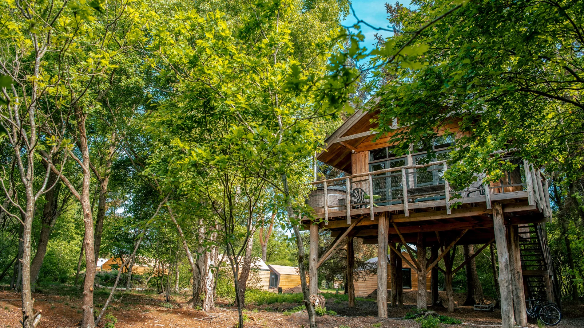 EuroParcs Ruinen Treehouse