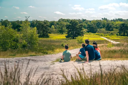 Brunssummerheide - header - family - nature