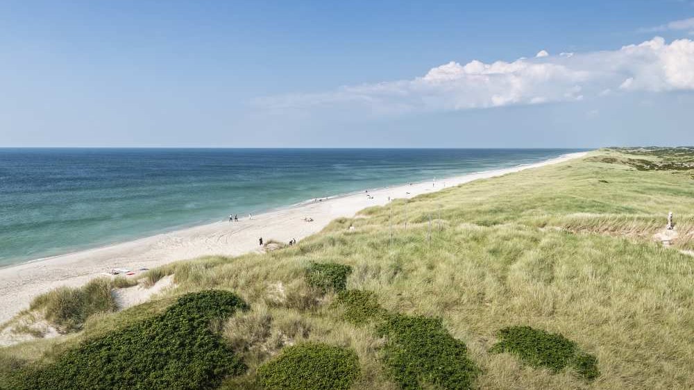 EuroParcs Poort van Zeeland Surroundings Sea