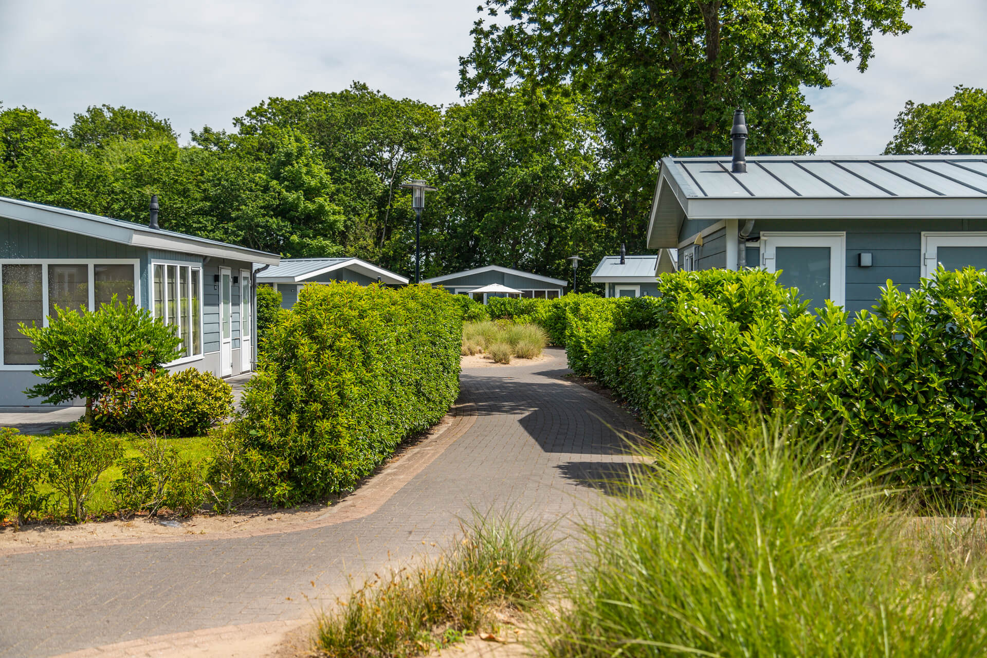 EuroParcs Noordwijkse Duinen chalets 10