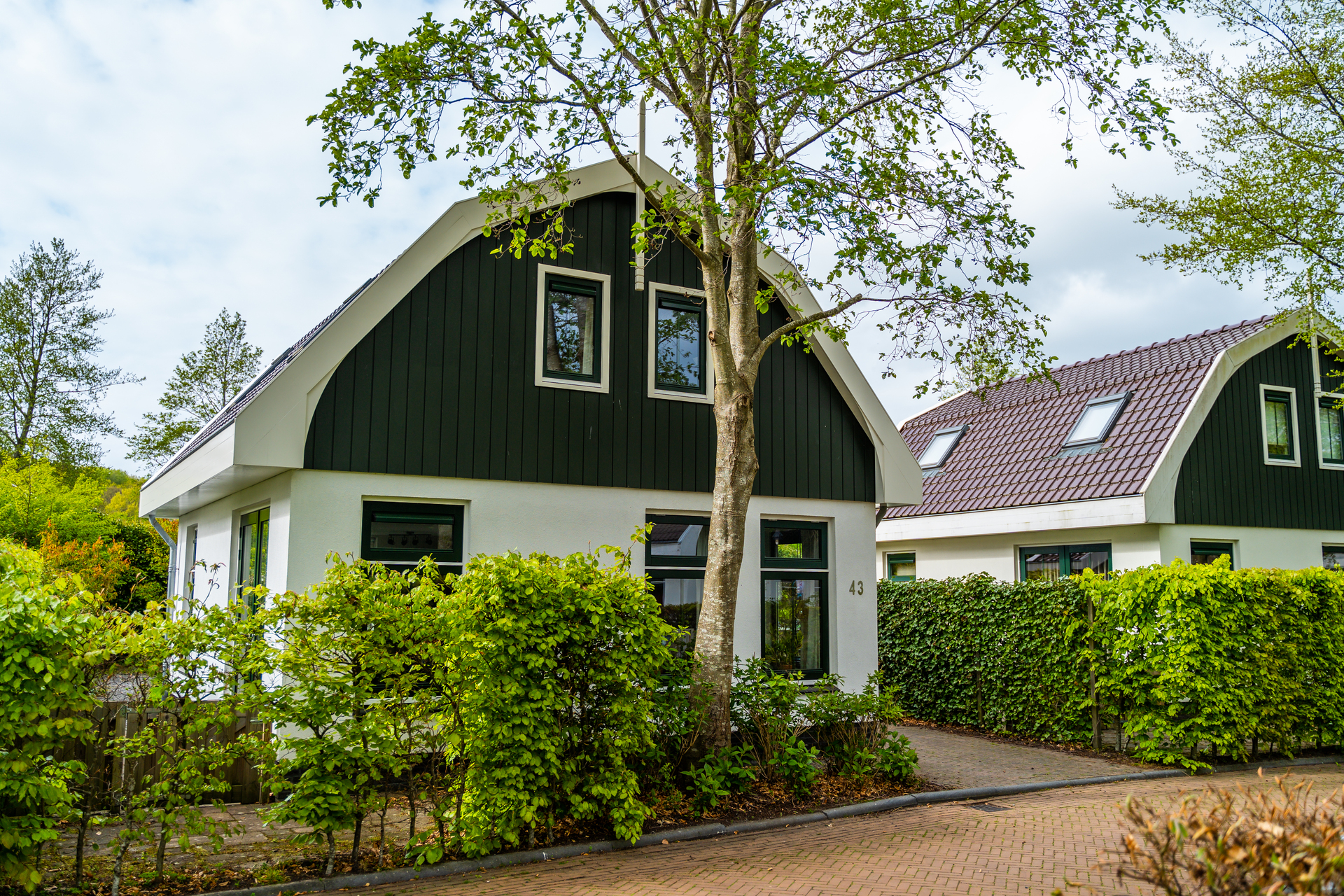 EuroParcs Koningshof Koningshoeve Schoorl Holiday park