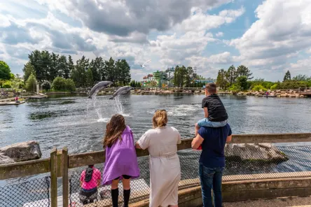 Dolfinarium harderwijk 