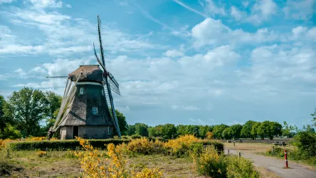 EuroParcs Ruinen Windmill cropped
