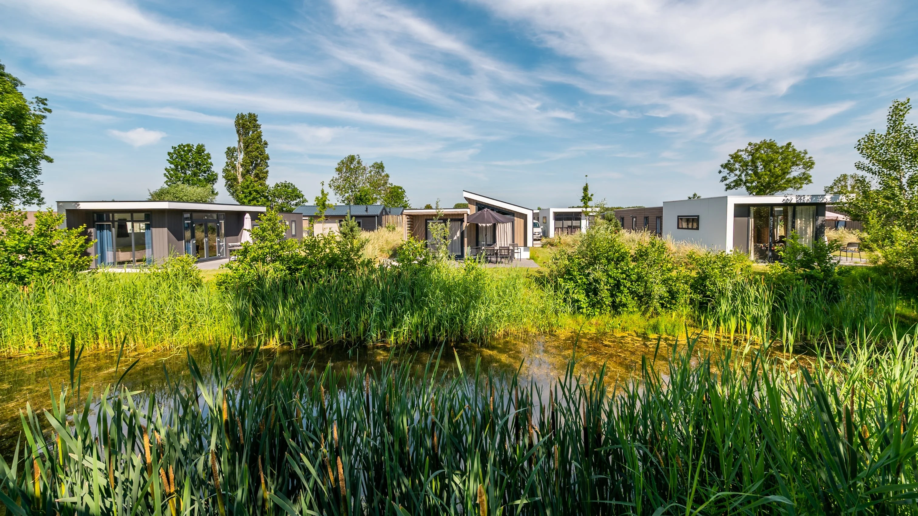 EuroParcs Poort van Zeeland Park house view