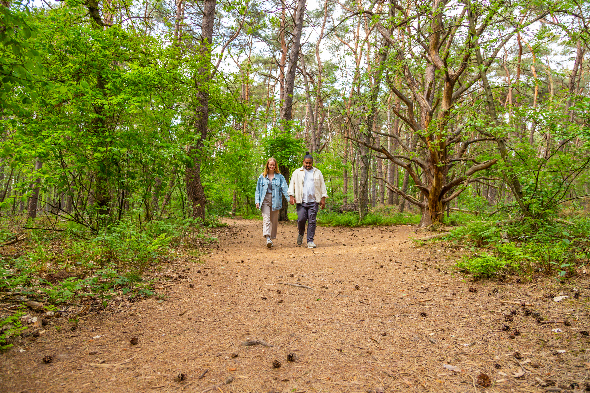 europarcs-de-wije-werelt-forest-veluwe