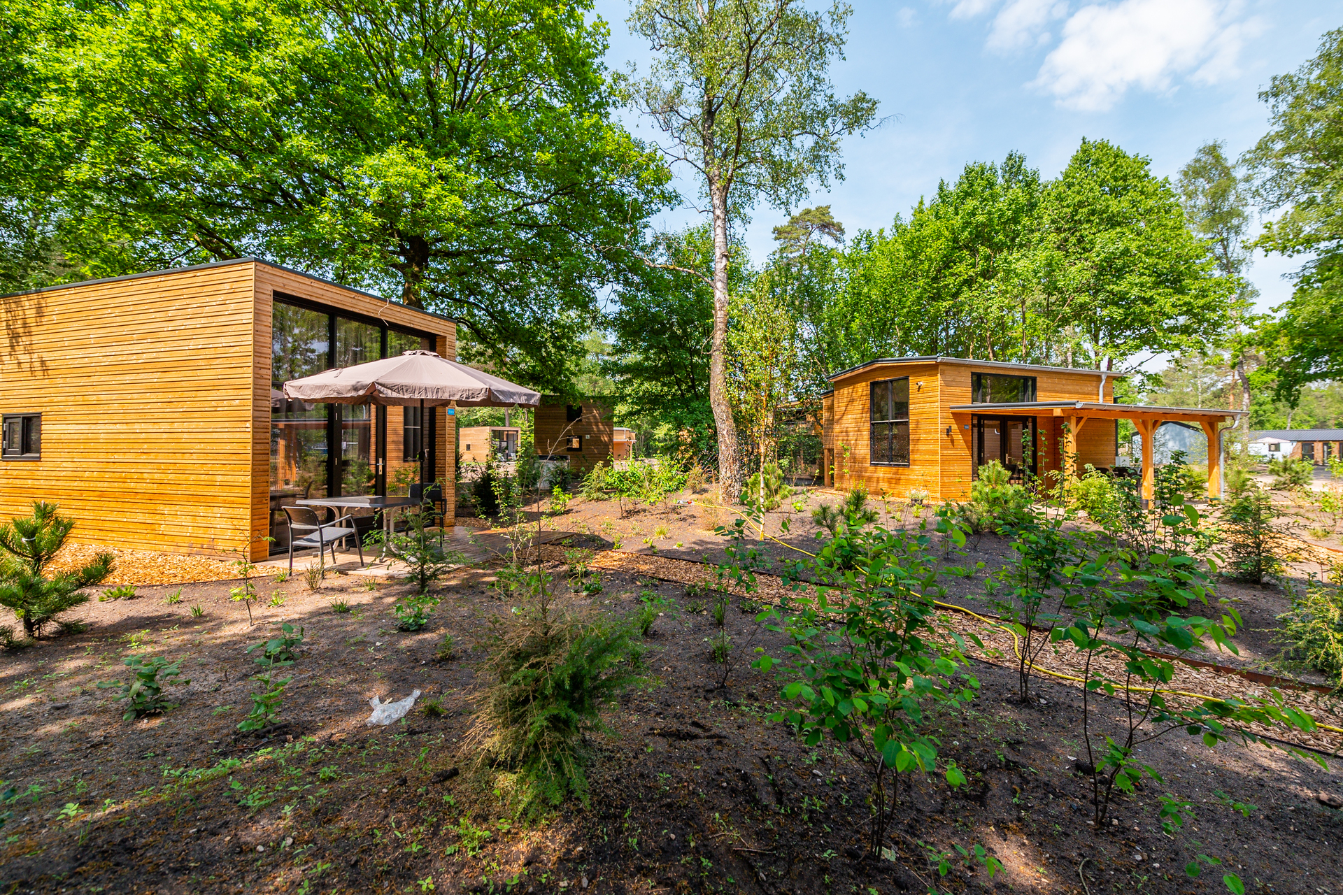De Hooge Veluwe Parkfoto Bosrijk Veluwe EuroParcs