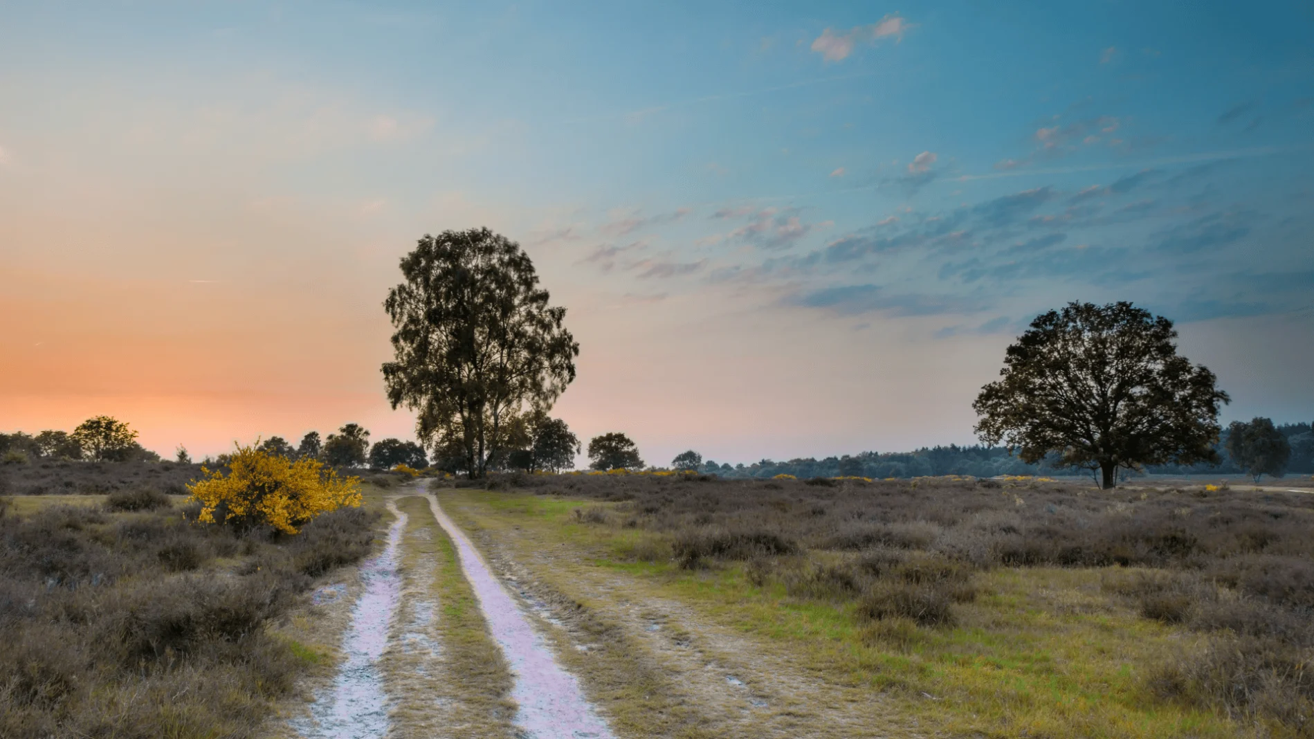 Utrecht province national park De Utrechtse Heuvelrug