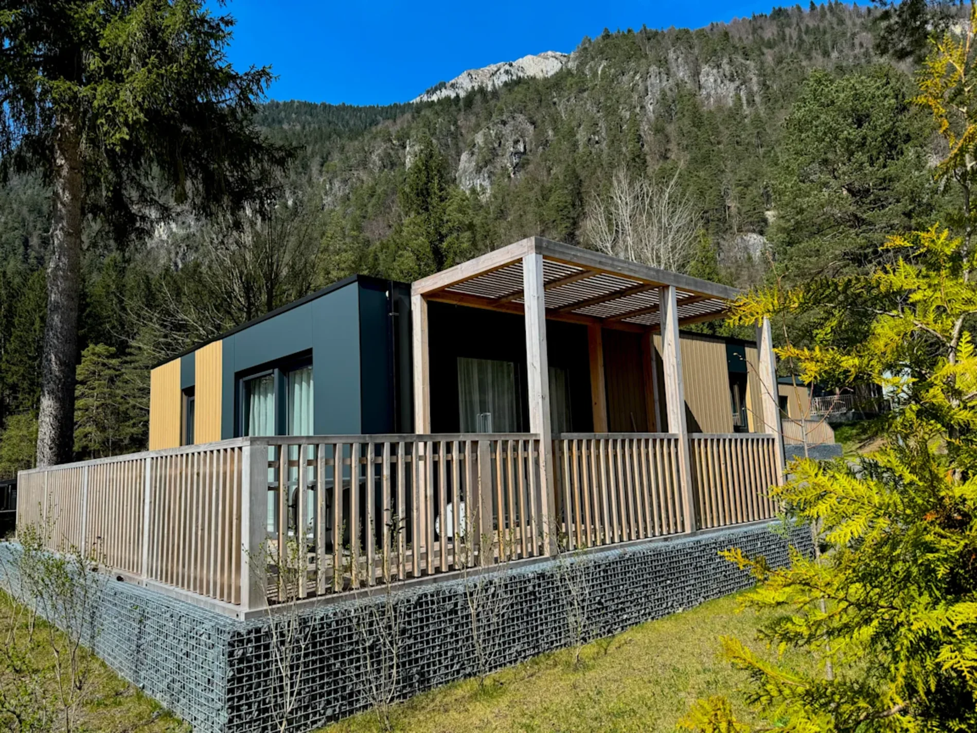 Pressegger See - Wulfenia 6