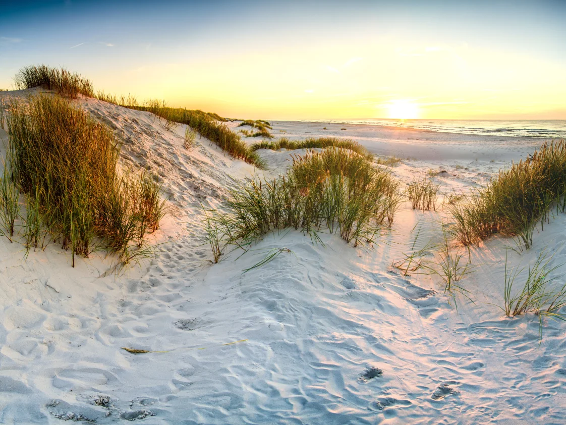 dunes beach north sea sunshine evening