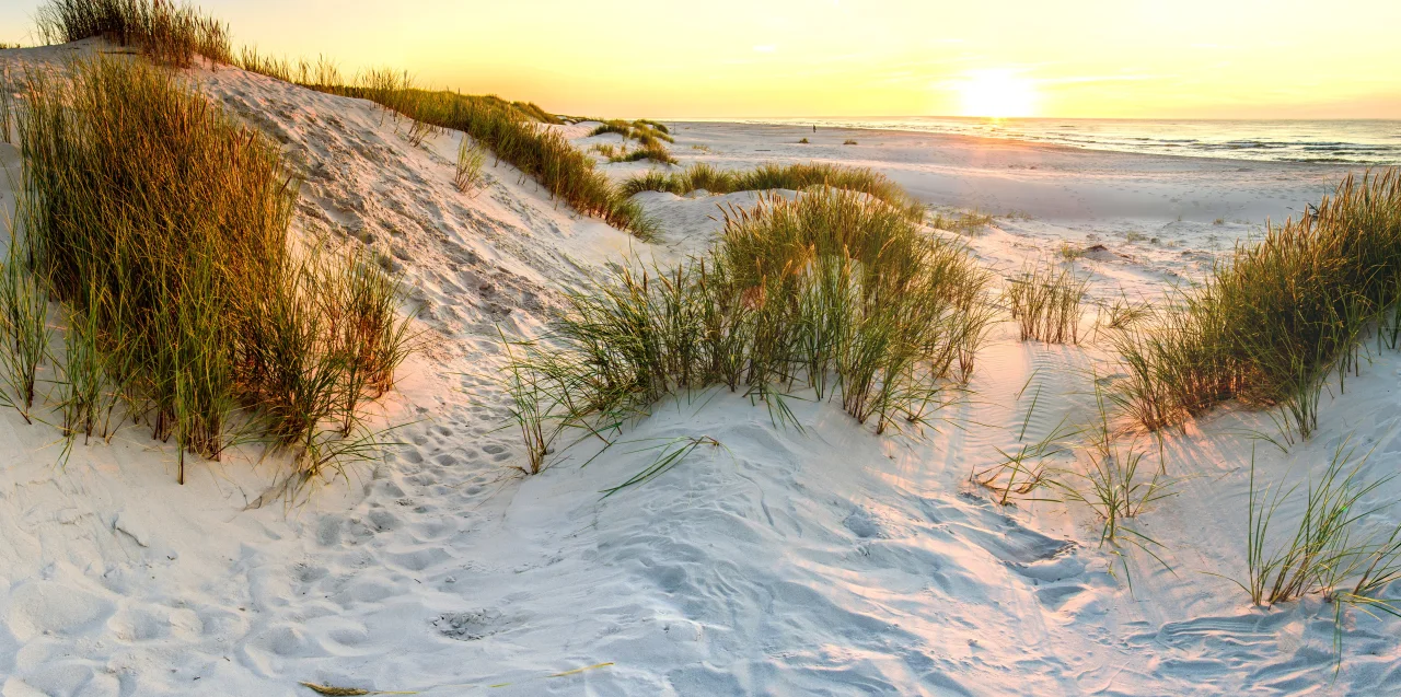dunes beach north sea sunshine evening