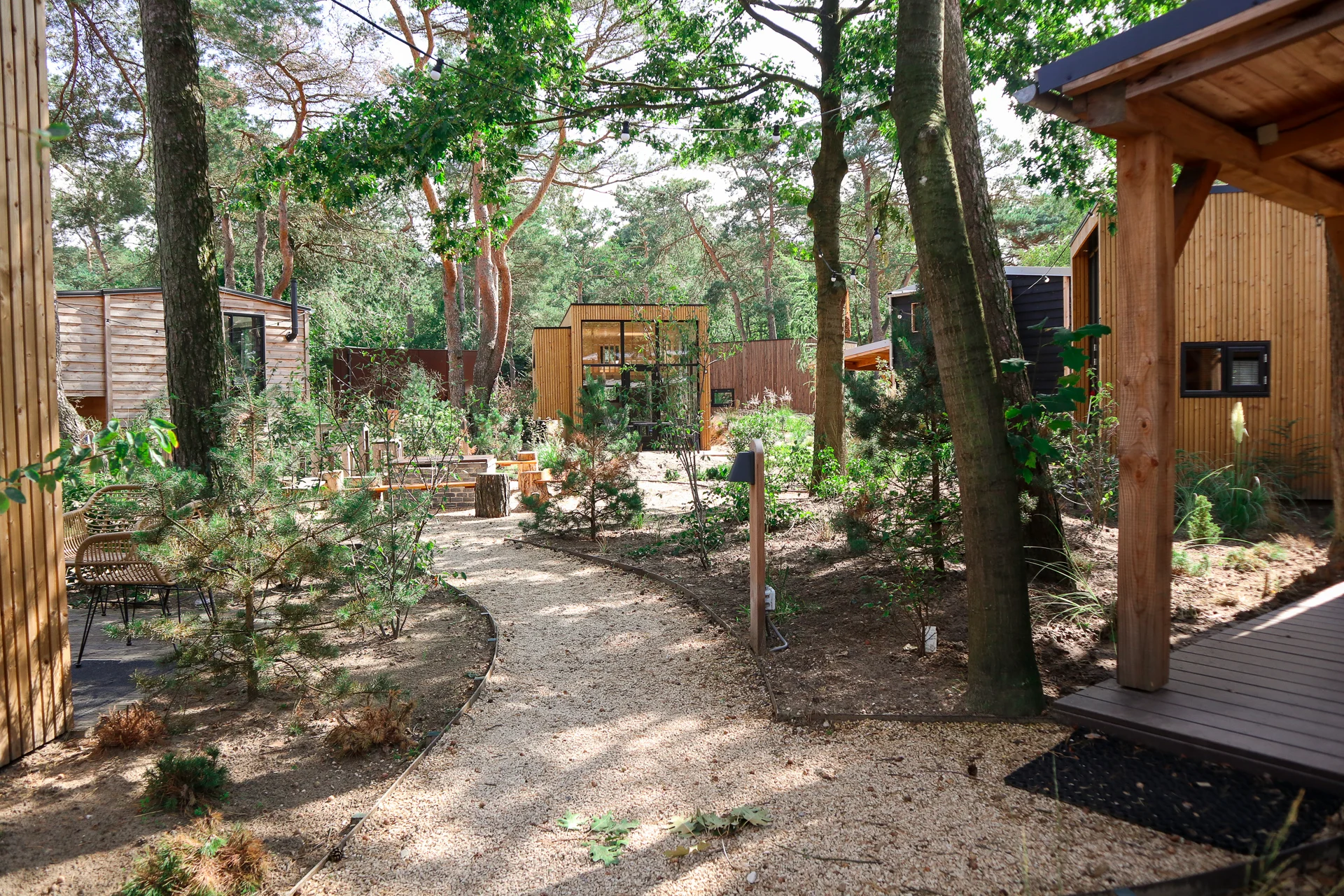 EuroParcs De Zanding - Tiny House - Park Photo 