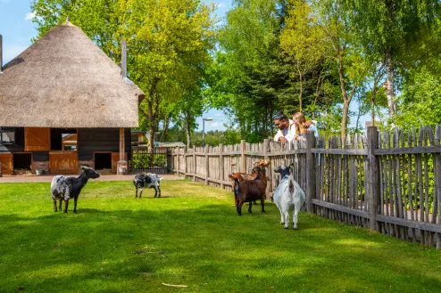 europarcs-de-wije-werelt-animal-meadow