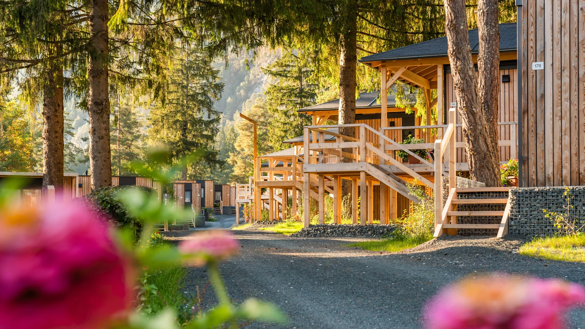 Autumn at EuroParcs Presseggersee wooden houses with trees