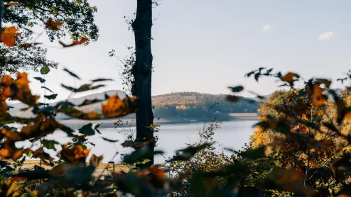 EuroParcs Biggesee lake view 