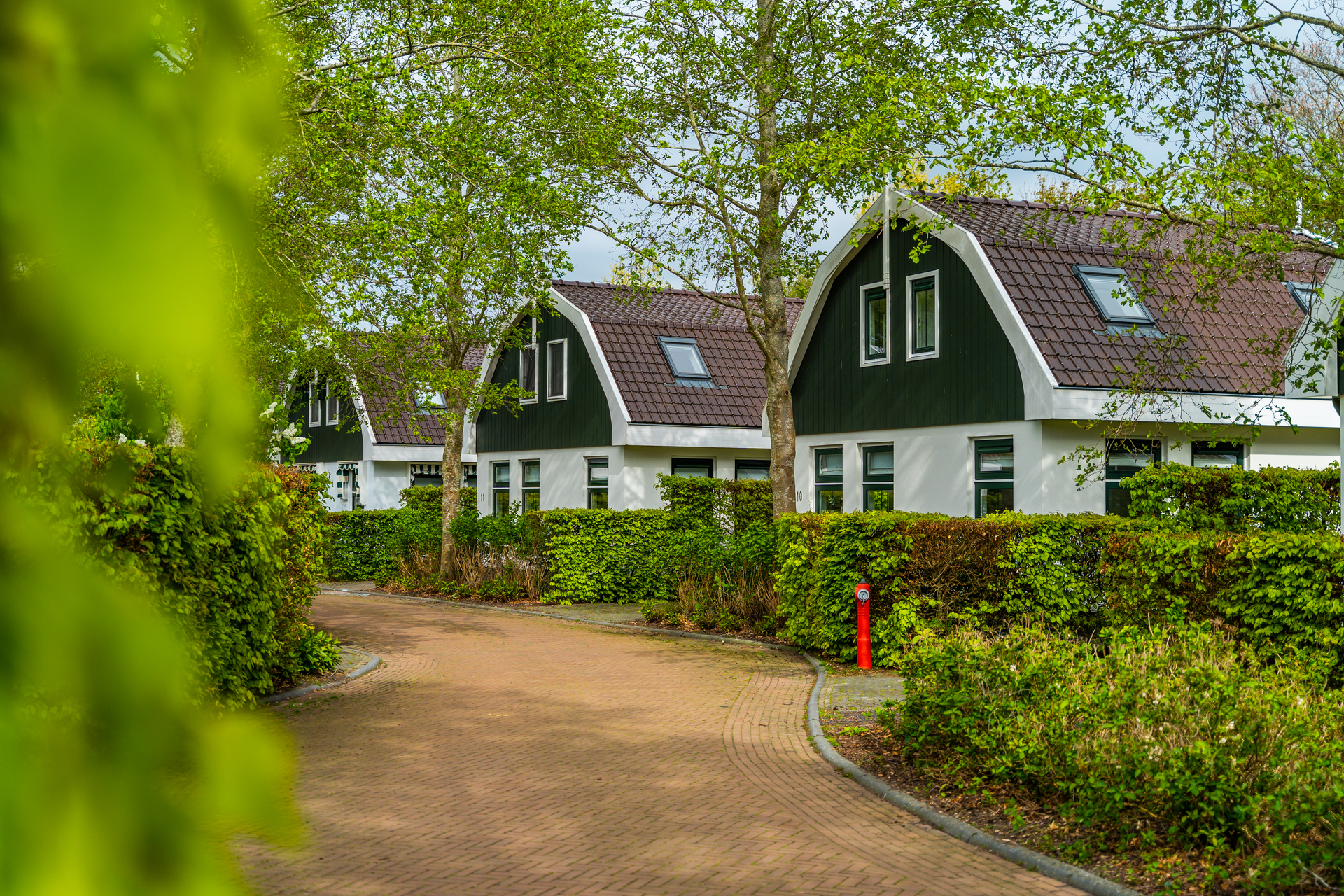 Holiday park EuroParcs Koningshof Schoorl Parkphoto Exterior