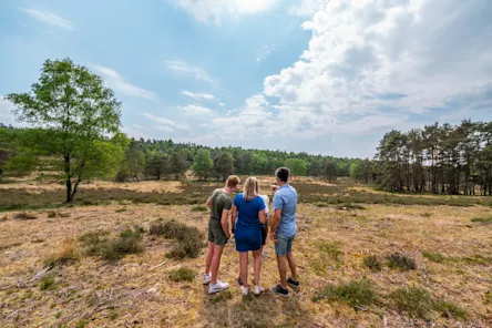 EuroParcs De Hoge Veluwe surroundings national park