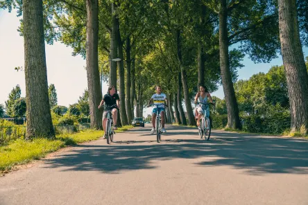 EuroParcs De Biesbosch surroundings biking