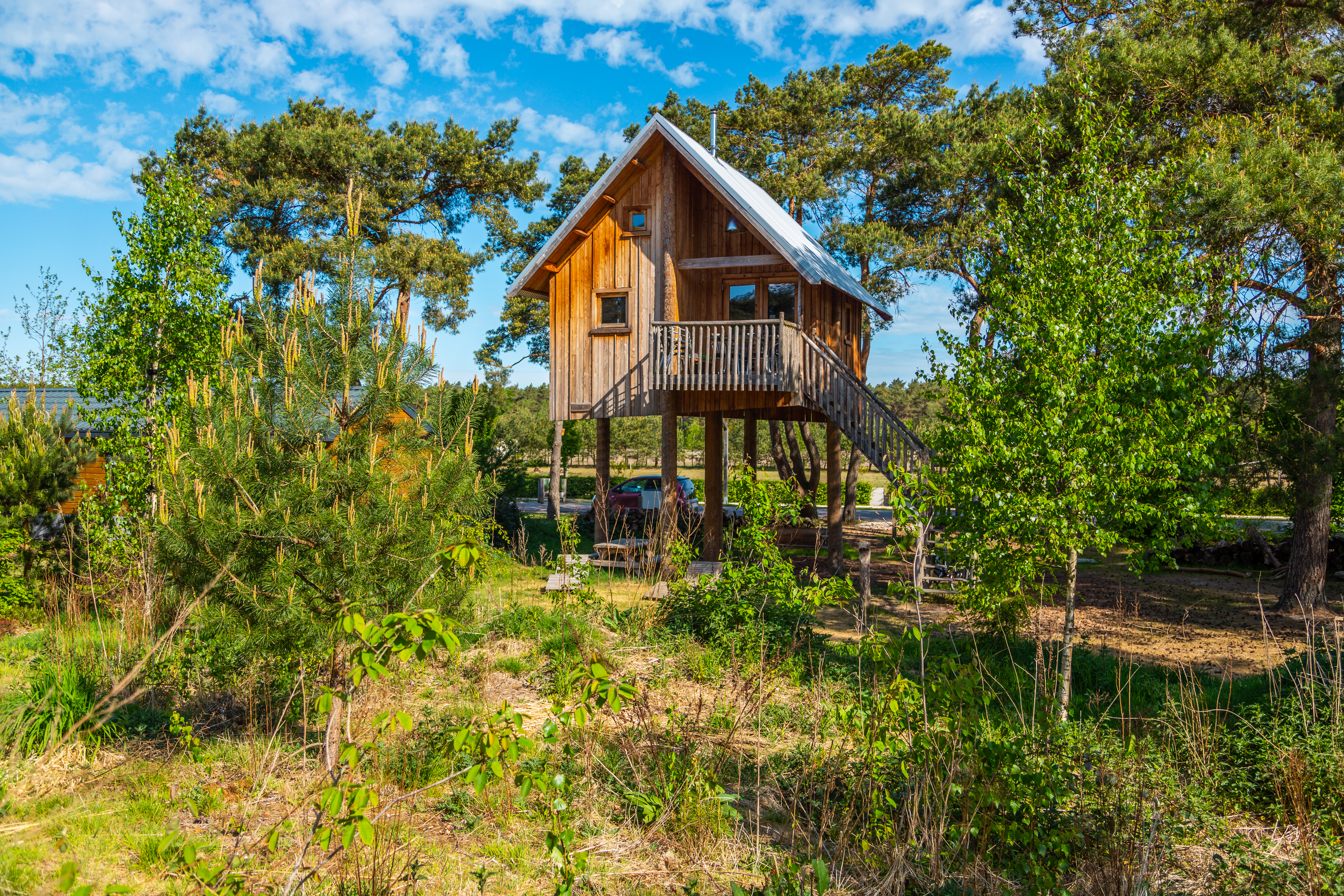 EuroParcs De Wije Werelt tree house