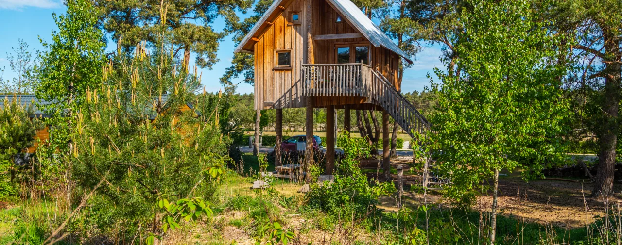 EuroParcs De Wije Werelt tree house