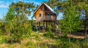 EuroParcs De Wije Werelt tree house