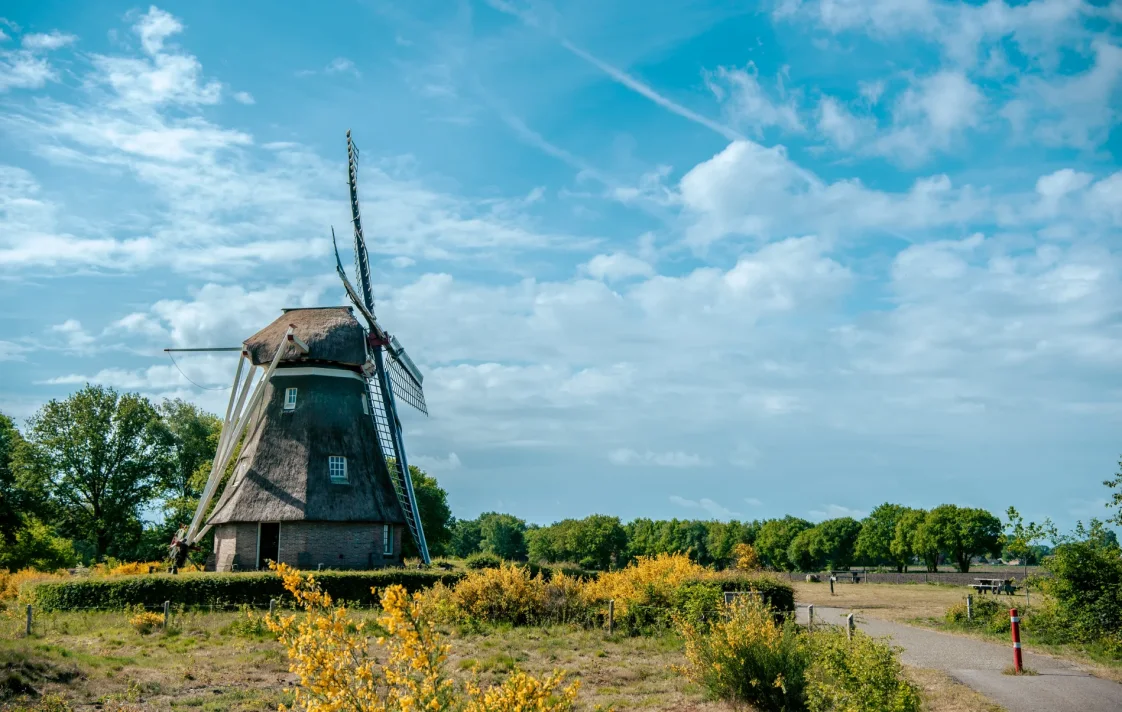 EuroParcs Ruinen Windmill in Drenthe