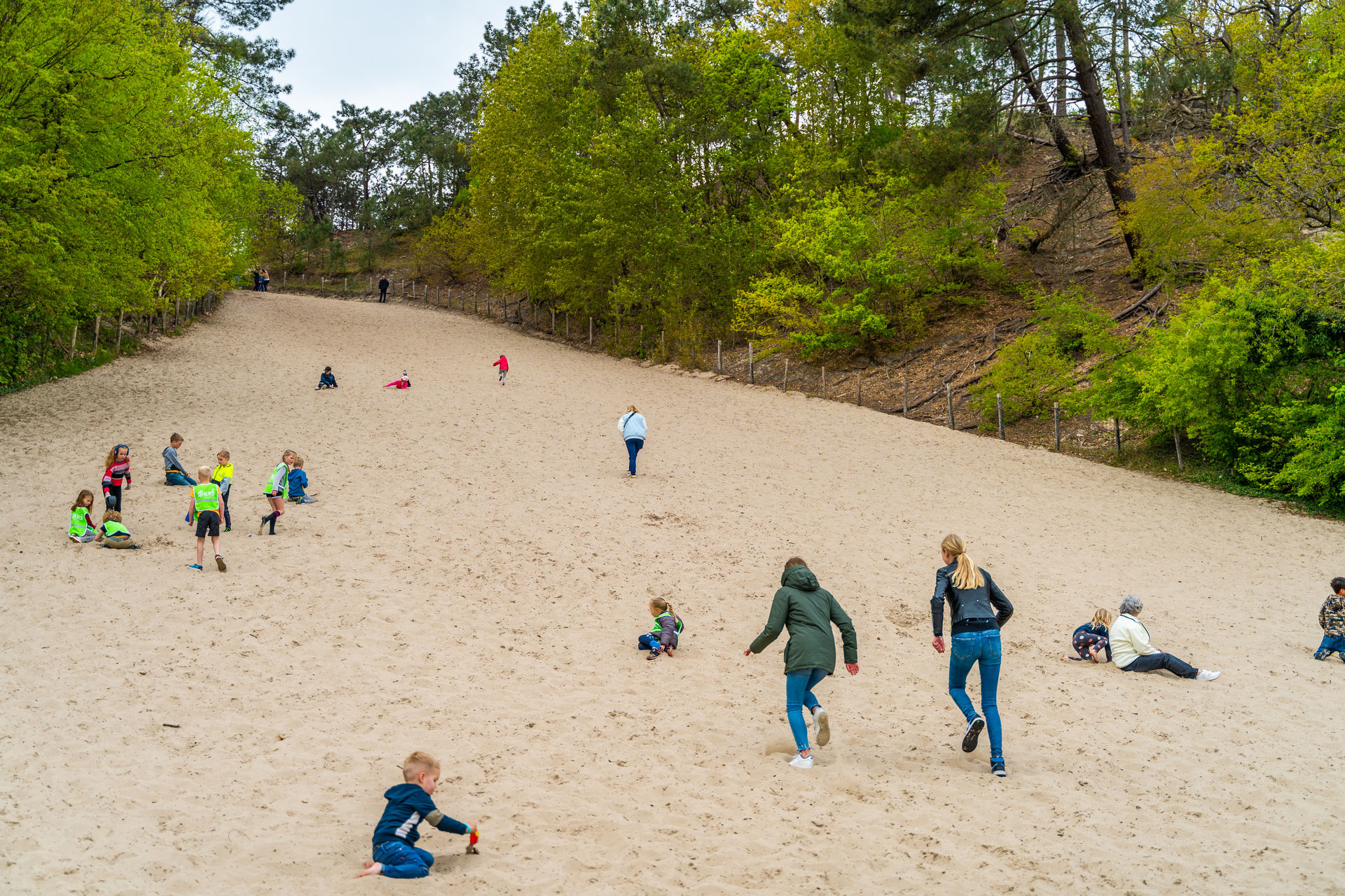 EuroParcs Koningshof Klimduim Schoorl Climbing Nature National Park